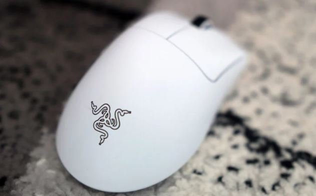 The Top 5 BEST Butterfly Clicking Mice