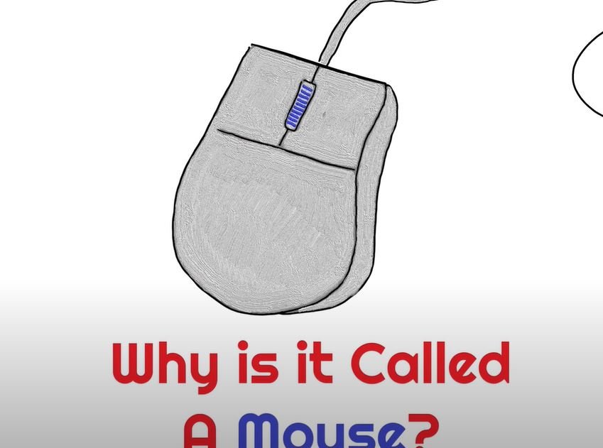 Why mouse is called a mouse?